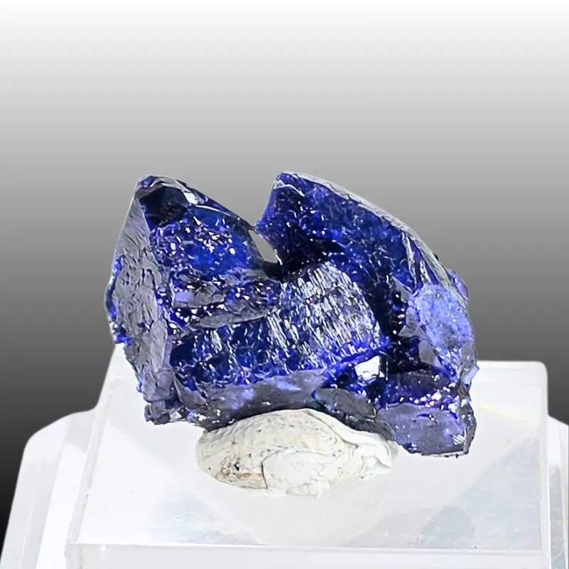 Azurite from Mexico, Chihuahua image