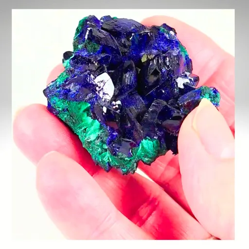 specimen video