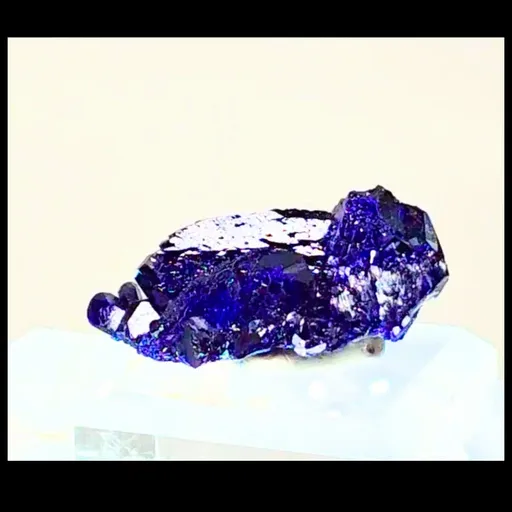 specimen video