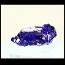 specimen video