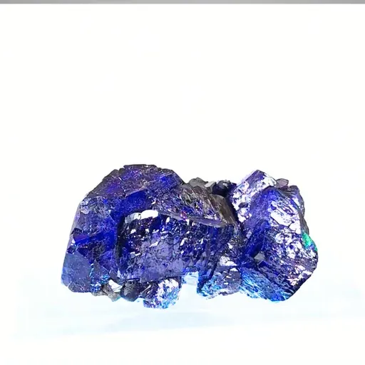 specimen video