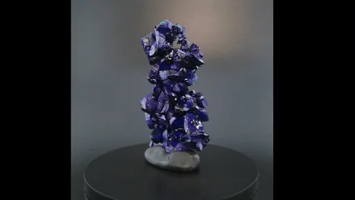 specimen video