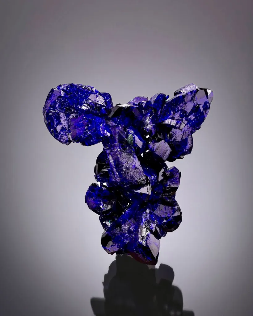 Azurite from Mexico, Sonora, Milpillas, Milpillas Mine image