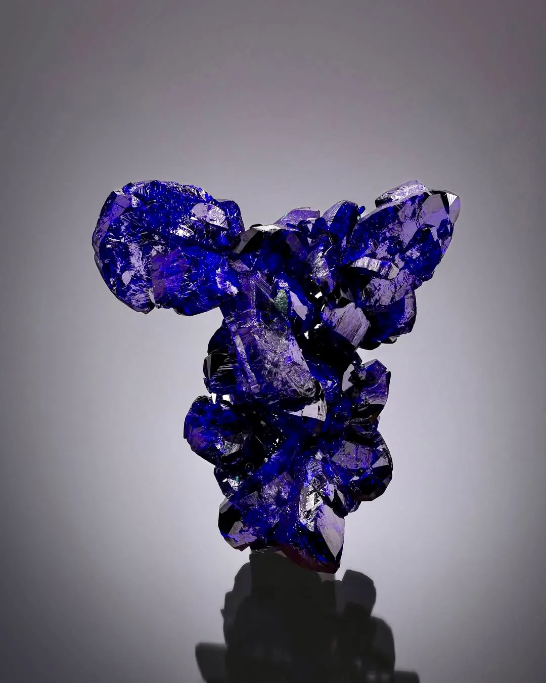 Azurite from Mexico, Sonora, Milpillas, Milpillas Mine - image 1