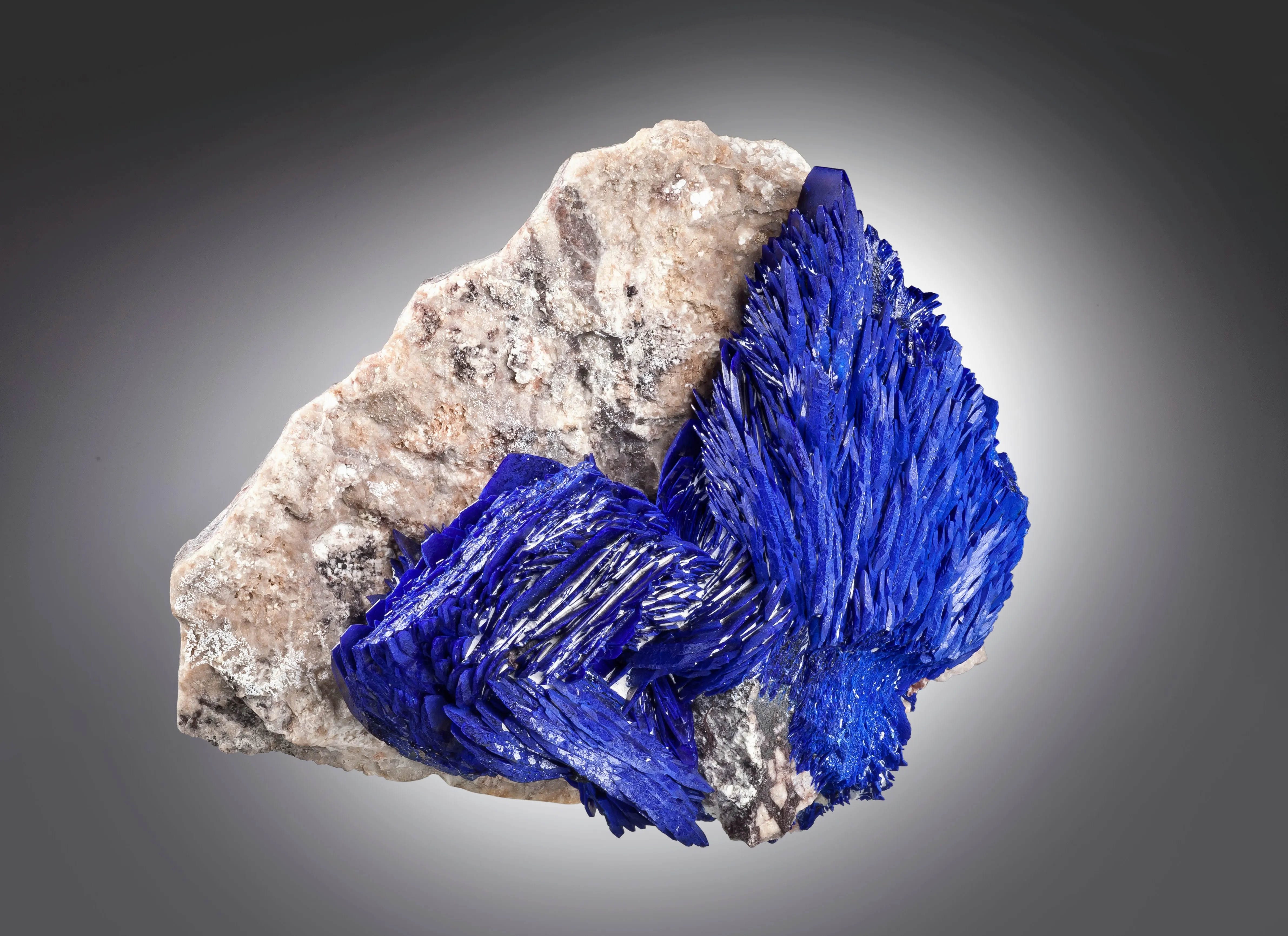 Azurite from Mexico, Sonora, Milpillas, Milpillas Mine - image 1