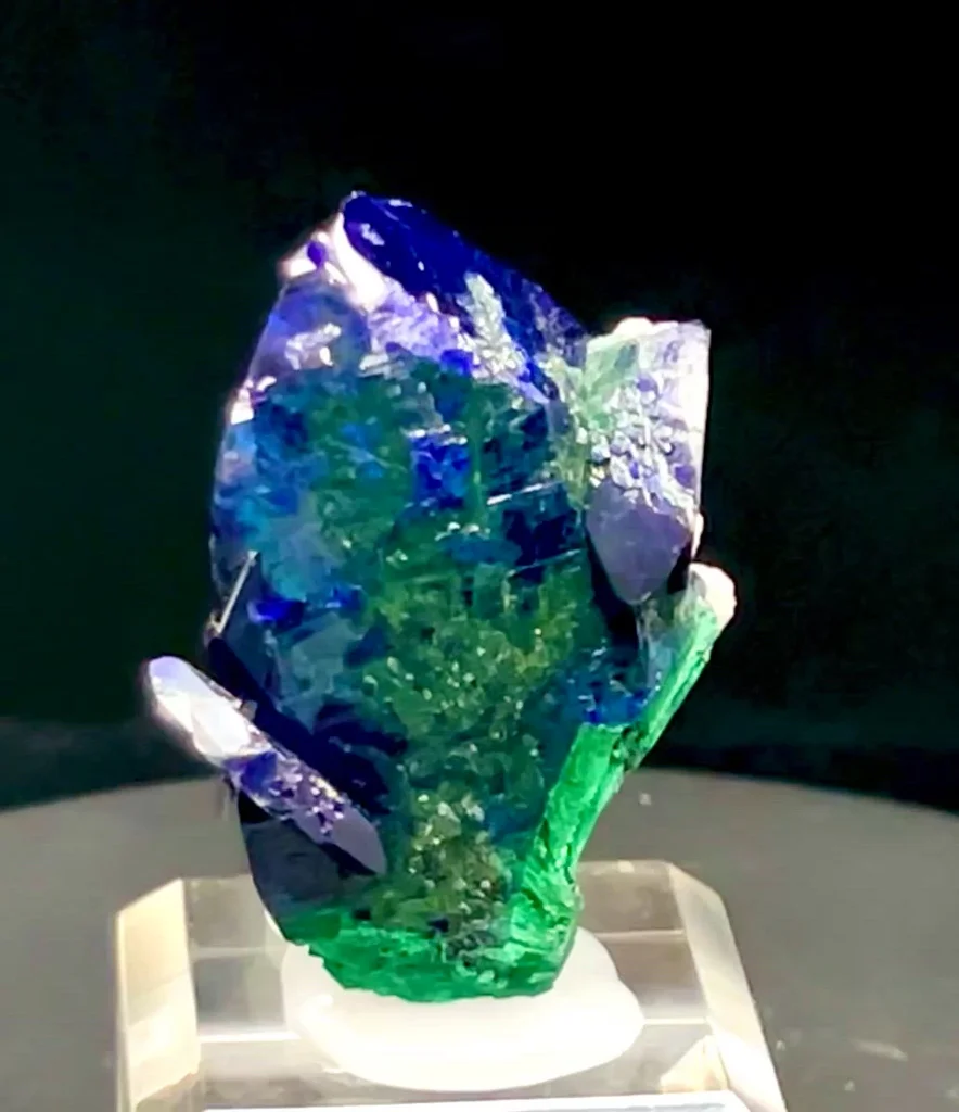 specimen video