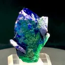 specimen video