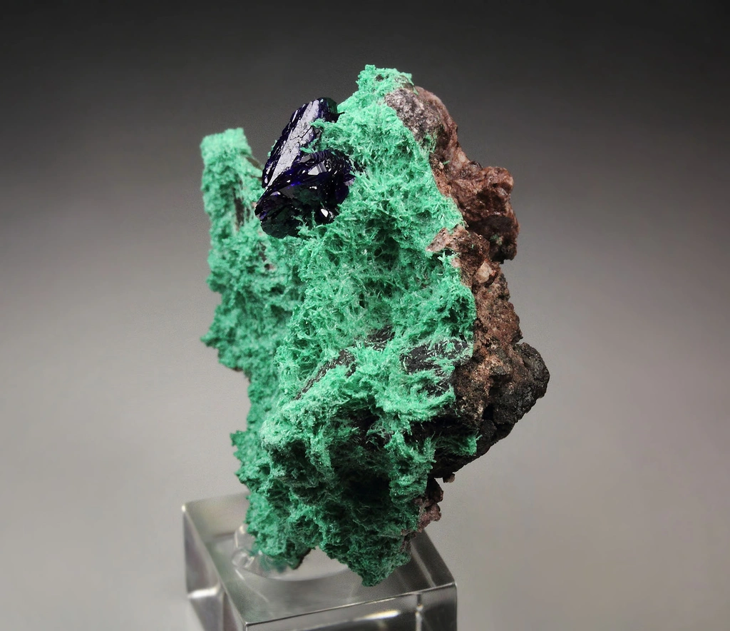 Azurite from Milpillas Mine, Milpillas, Sonora, Mexico - image 4