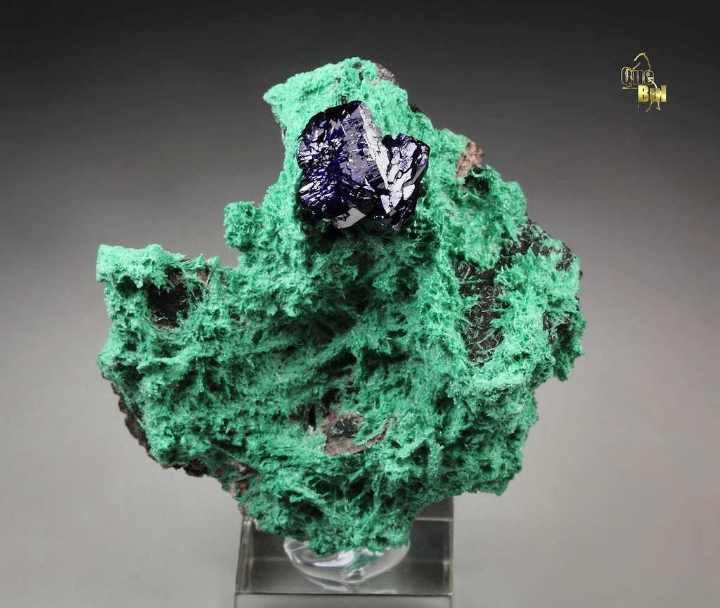 Azurite from Milpillas Mine, Milpillas, Sonora, Mexico image