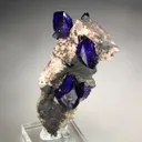 Azurite from Milpillas Mine, Milpillas, Sonora, Mexico - image 4