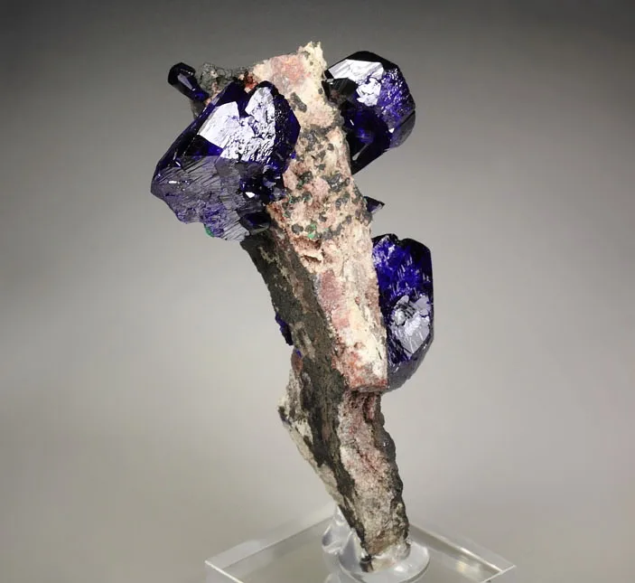 Azurite from Milpillas Mine, Milpillas, Sonora, Mexico - image 2