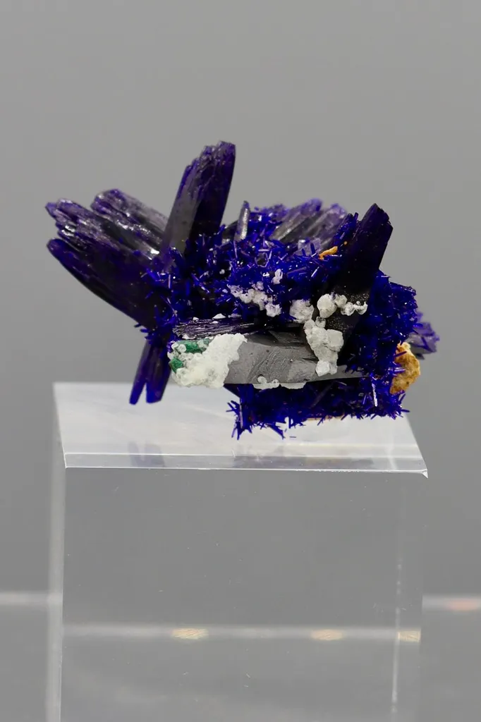 Azurite from Morocco Kerrouchen image