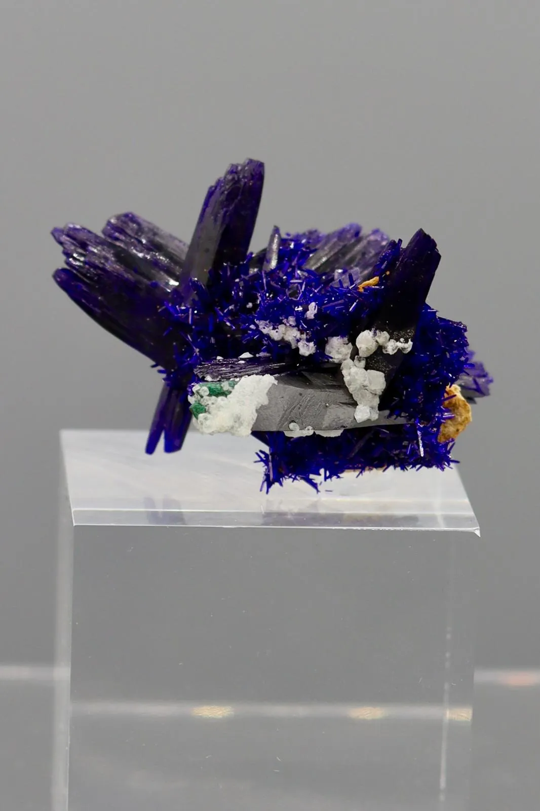 Azurite from Morocco Kerrouchen - image 1