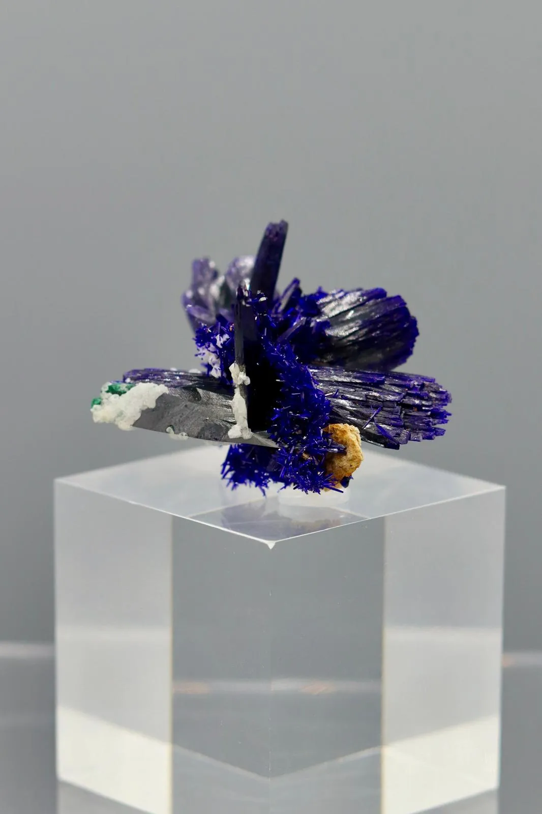 Azurite from Morocco Kerrouchen - image 2