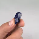 specimen video