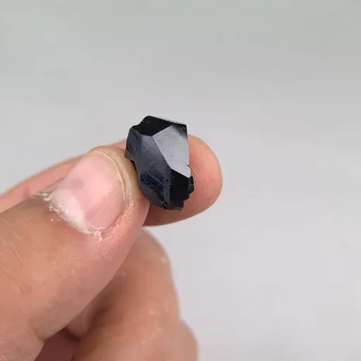 specimen video