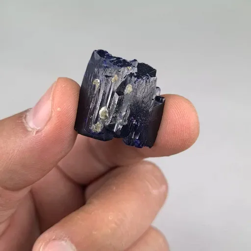 specimen video