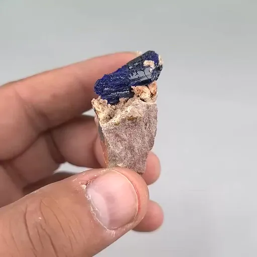 specimen video