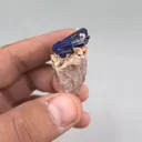 specimen video