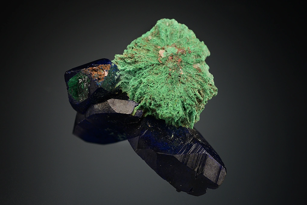 Azurite from New Cornelia Mine, Ajo, Arizona, USA - image 4