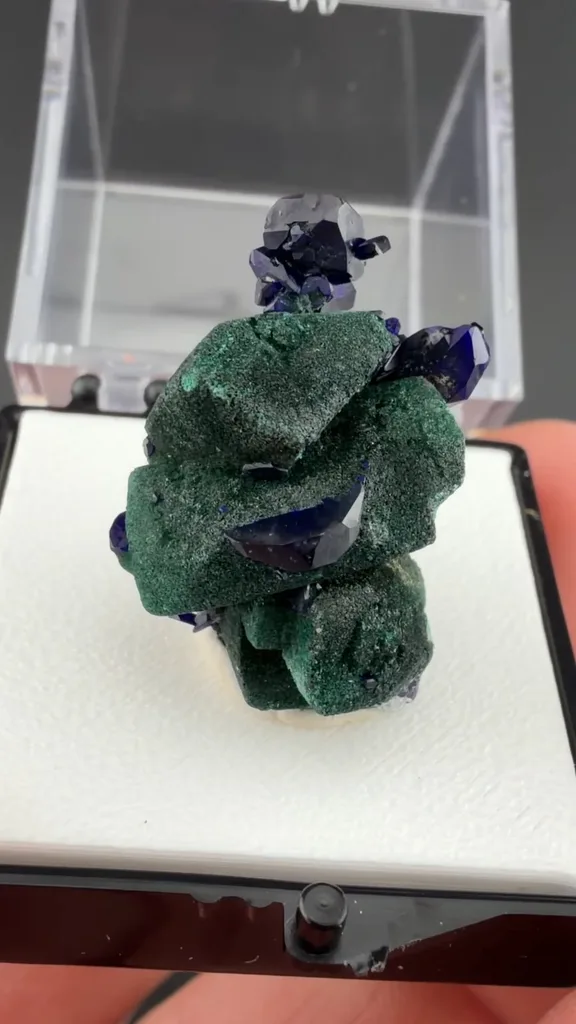Azurite from New Cornelia Mine, Ajo, Arizona, USA - image 2