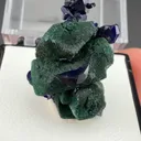 Azurite from New Cornelia Mine, Ajo, Arizona, USA - image 2