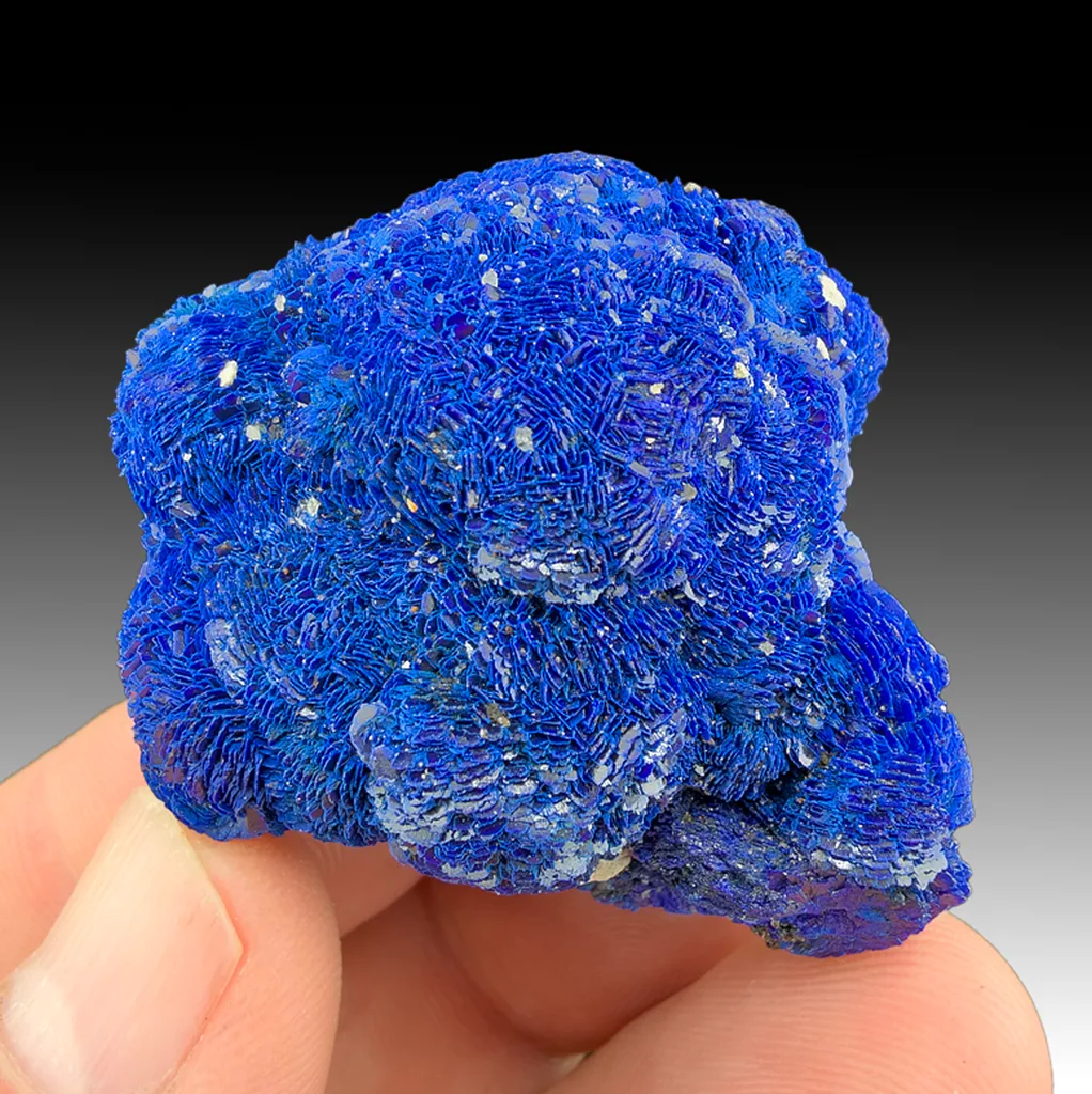 Azurite from Rubtsovsk Mine, Altai Krai, Russia image