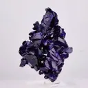 specimen video