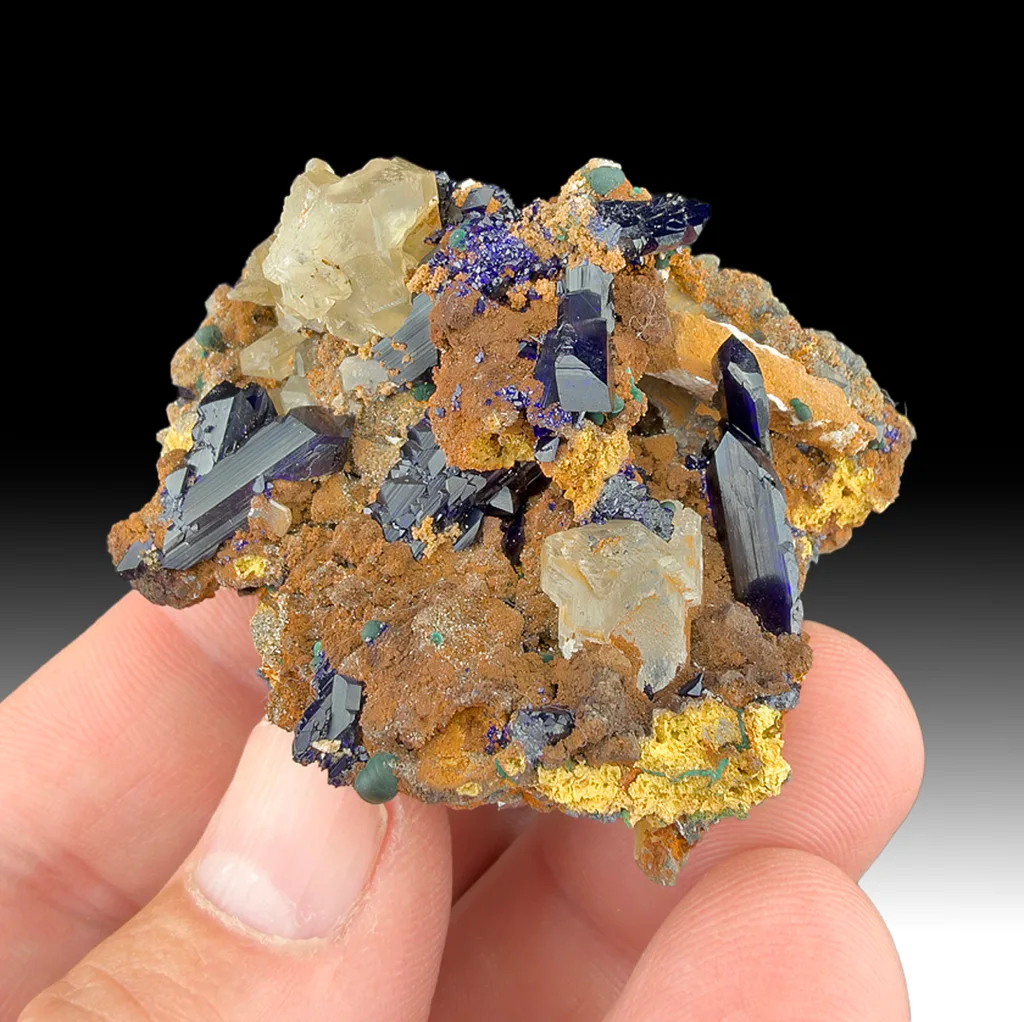 Azurite from Touissit, Oriental Region, Morocco image