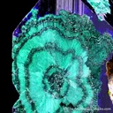 Azurite from Tsumeb, Oshikoto Region, Namibia - image 4