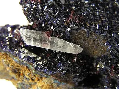 Azurite, Gypsum (Var: Selenite) - image 2