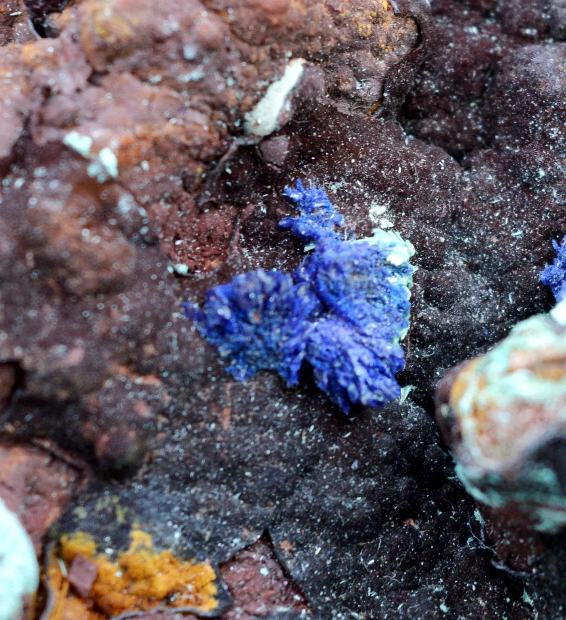 Azurite Hematite Malachite 252 grams - Le Moulinal Mine, Rayssac, Castres, Tarn, Occitanie, France - image 6