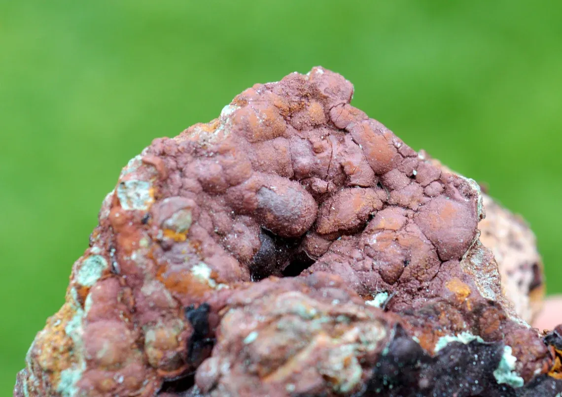 Azurite Hematite Malachite 252 grams - Le Moulinal Mine, Rayssac, Castres, Tarn, Occitanie, France - image 7