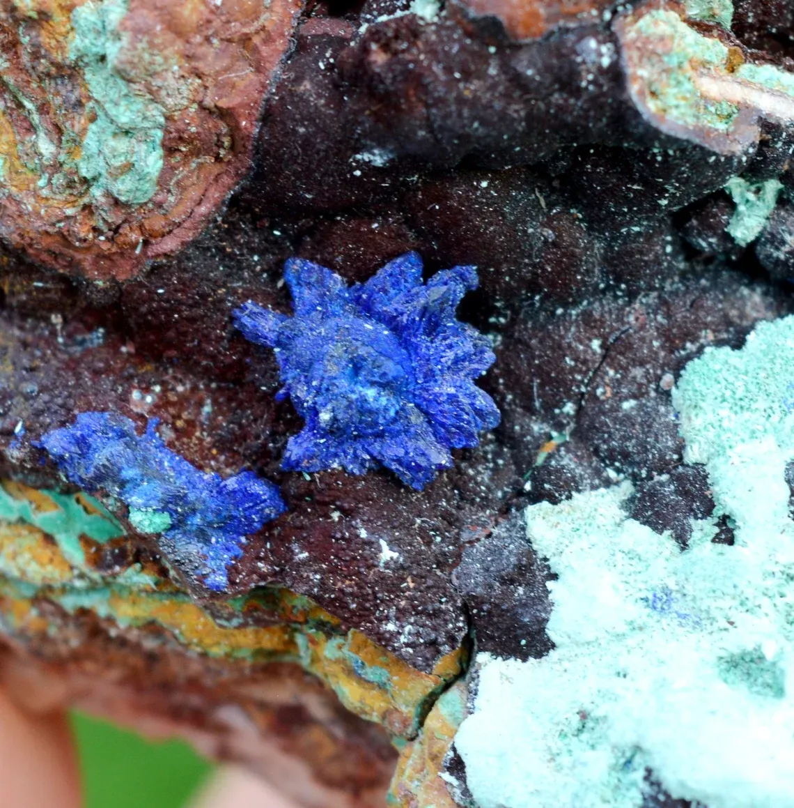 Azurite Hematite Malachite 252 grams - Le Moulinal Mine, Rayssac, Castres, Tarn, Occitanie, France - image 2