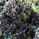 Azurite, Malachite - image 2