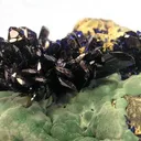 Azurite, Malachite - image 2