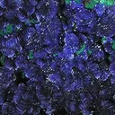 Azurite, Malachite - image 2