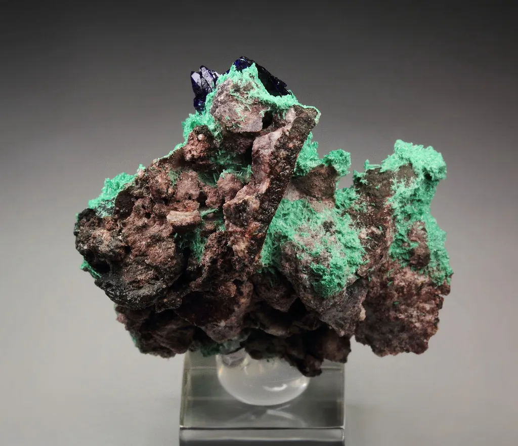 AZURITE, MALACHITE from Mexico, Sonora, Milpillas, Milpillas Mine - image 3
