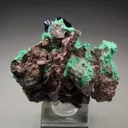AZURITE, MALACHITE from Mexico, Sonora, Milpillas, Milpillas Mine - image 3