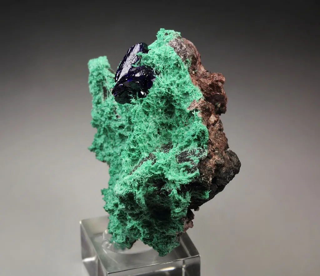 AZURITE, MALACHITE from Mexico, Sonora, Milpillas, Milpillas Mine - image 4