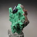 AZURITE, MALACHITE from Mexico, Sonora, Milpillas, Milpillas Mine - image 4