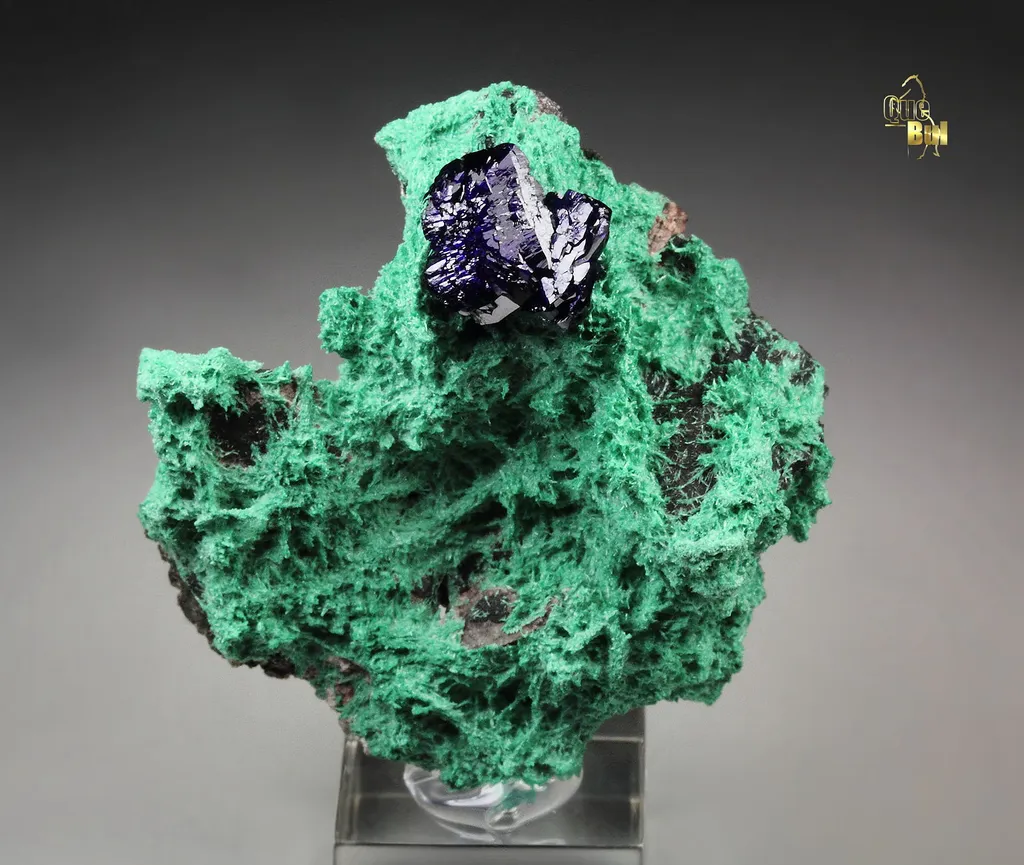 AZURITE, MALACHITE from Mexico, Sonora, Milpillas, Milpillas Mine image