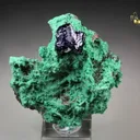 AZURITE, MALACHITE from Mexico, Sonora, Milpillas, Milpillas Mine - image 1