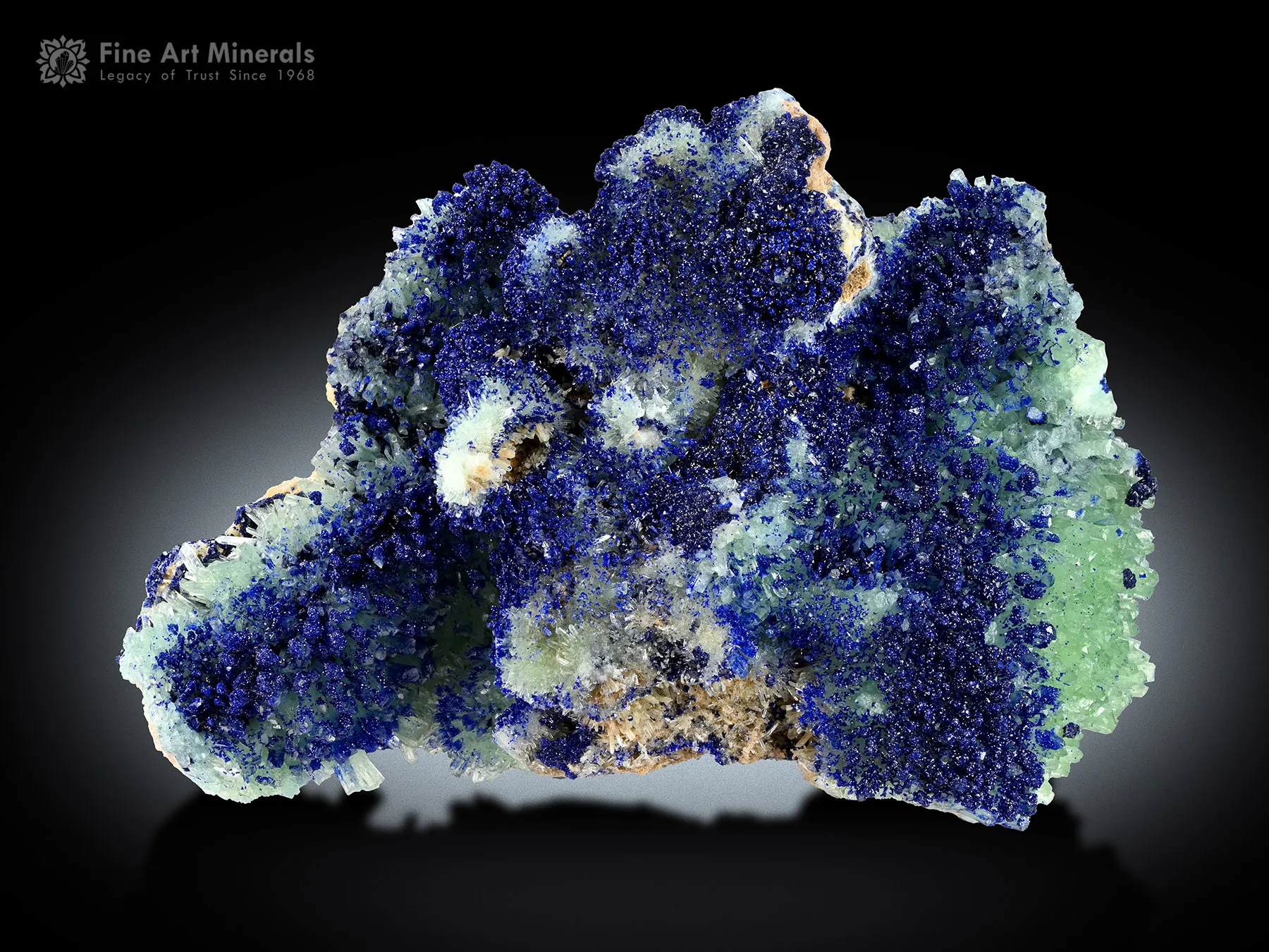 Azurite on Aragonite from Helmand Afghanistan - image 3