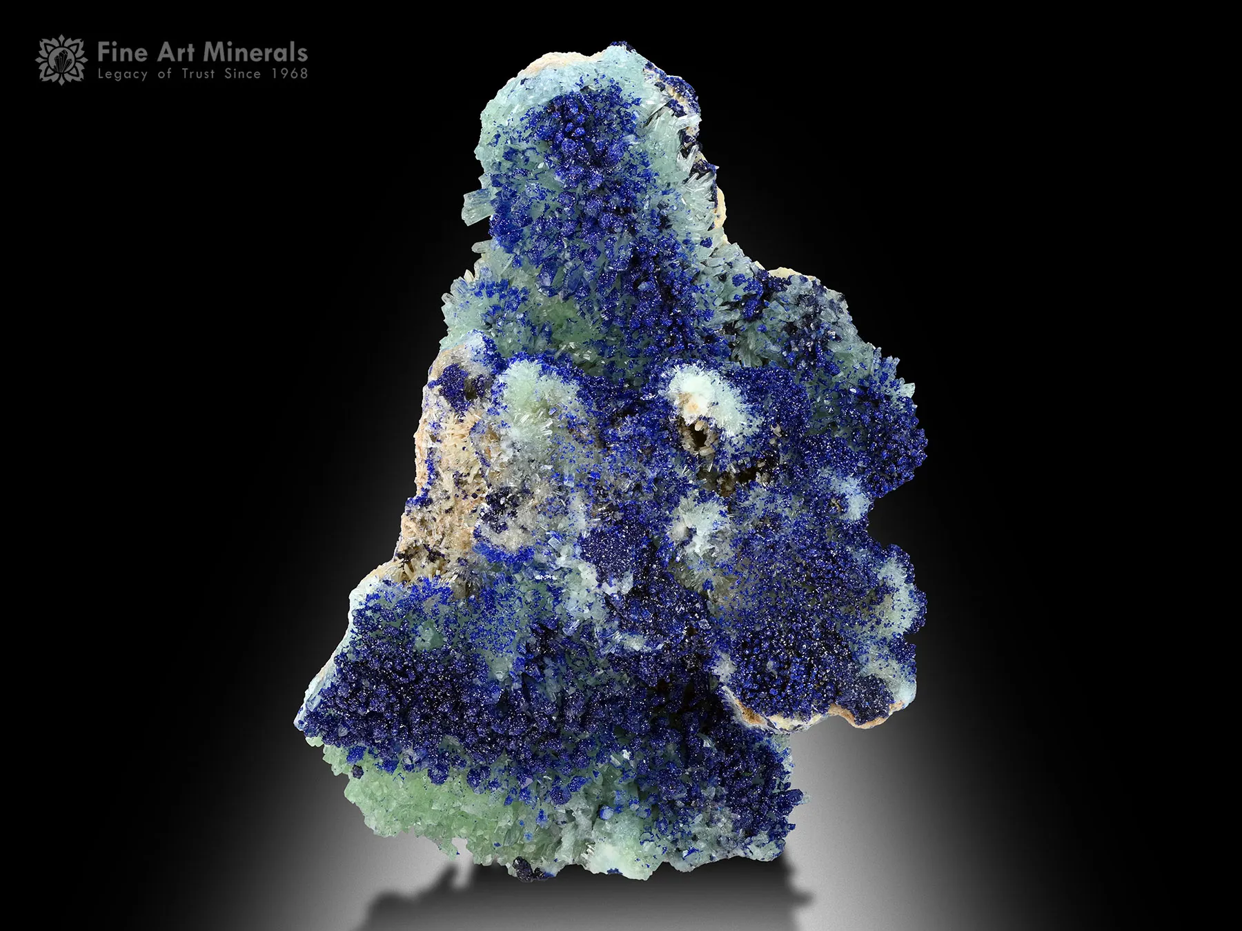 Azurite on Aragonite from Helmand Afghanistan - image 1