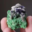 Azurite on Arsentsumebite - image 2