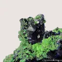 Azurite on Arsentsumebite (TL) - image 1