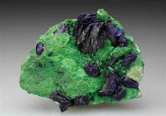 Azurite on Bayldonite with 'Gartrellite' image