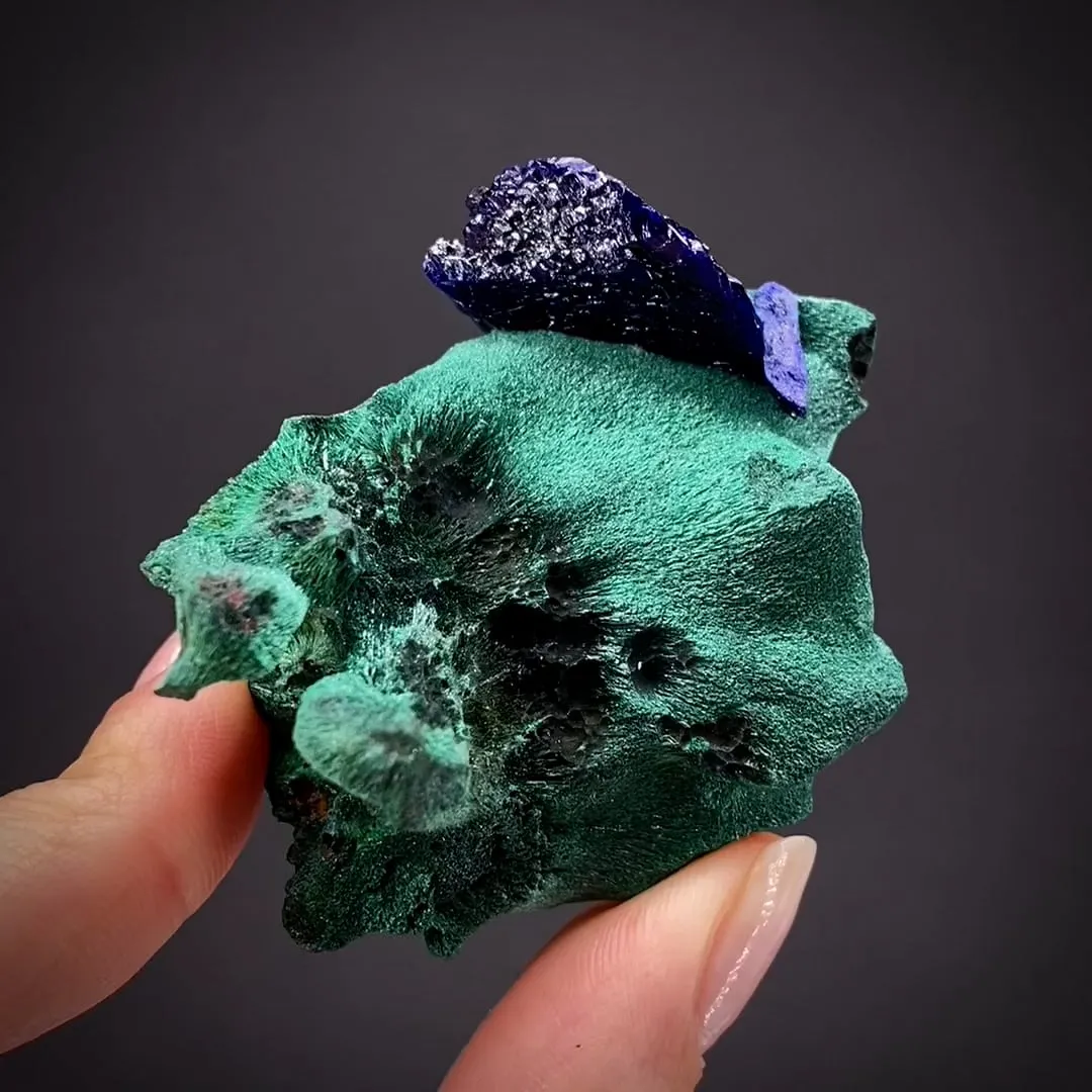 Azurite on chatoyant Malachite - image 2