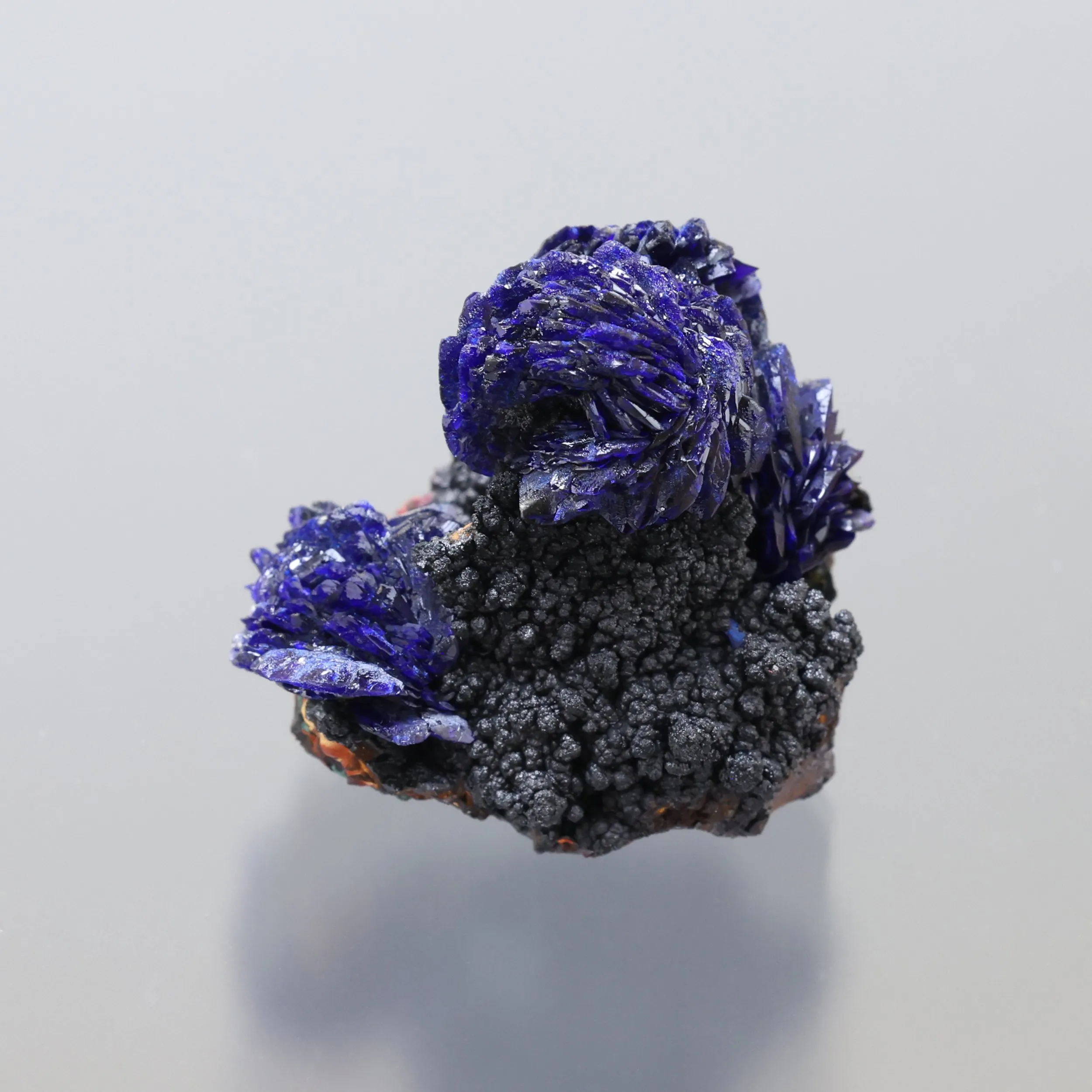 Azurite on Goethite - image 1